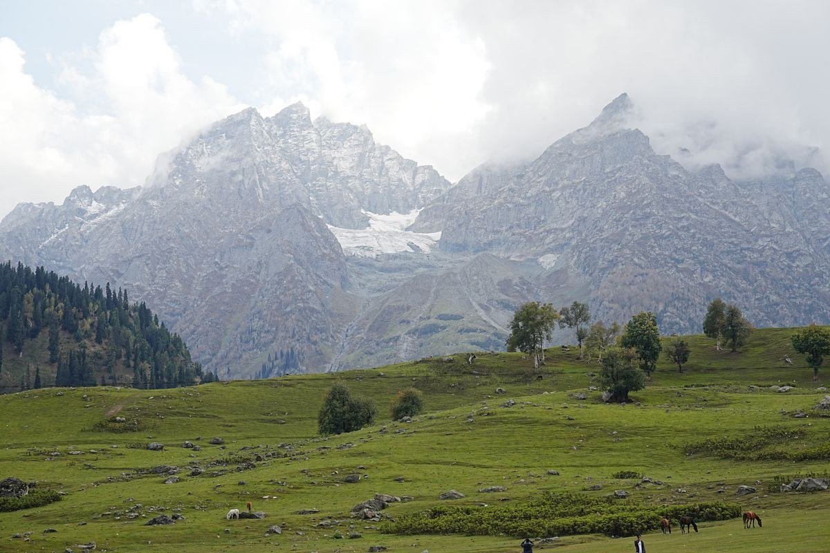 Jammu Kashmir